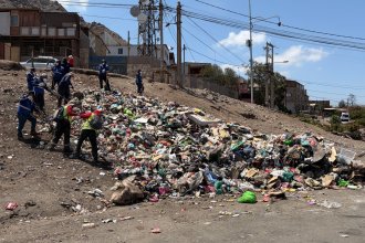 WhatsApp Image 2026-01-15 at 16.32.56.jpeg